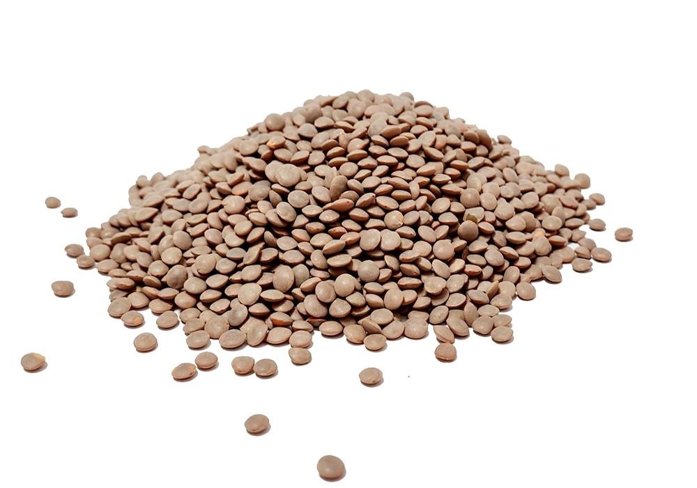 Grand brown lentils