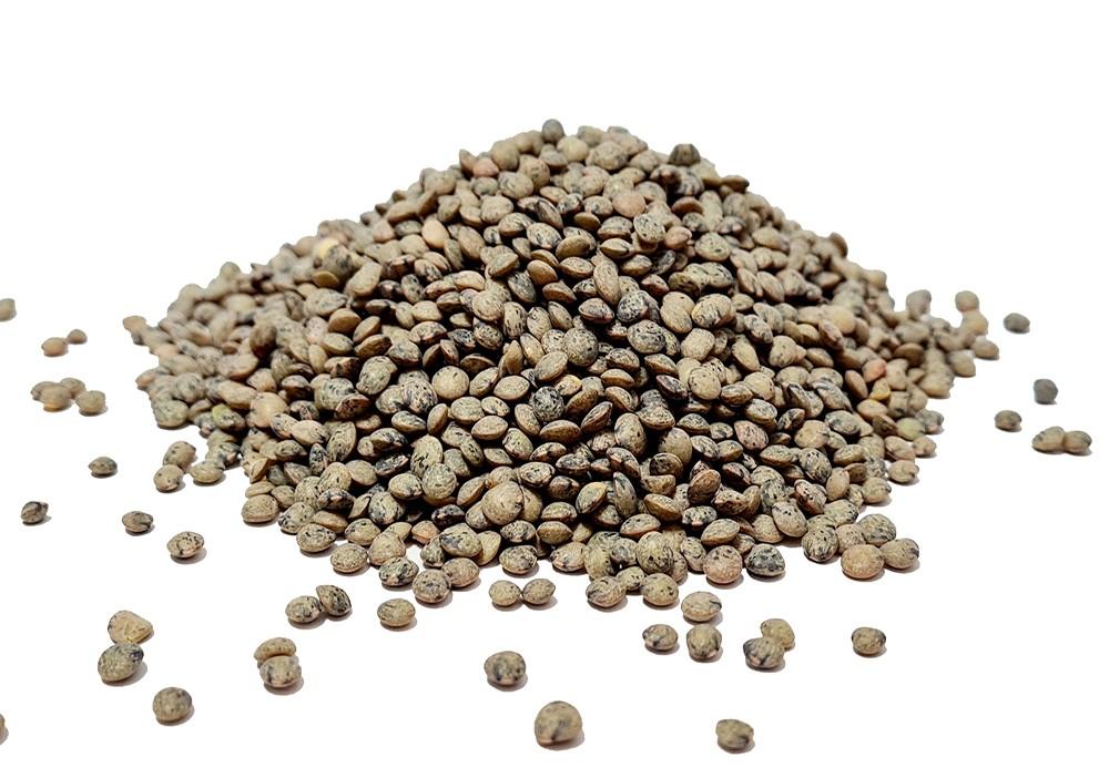 Grand dark green speckled puy lentils