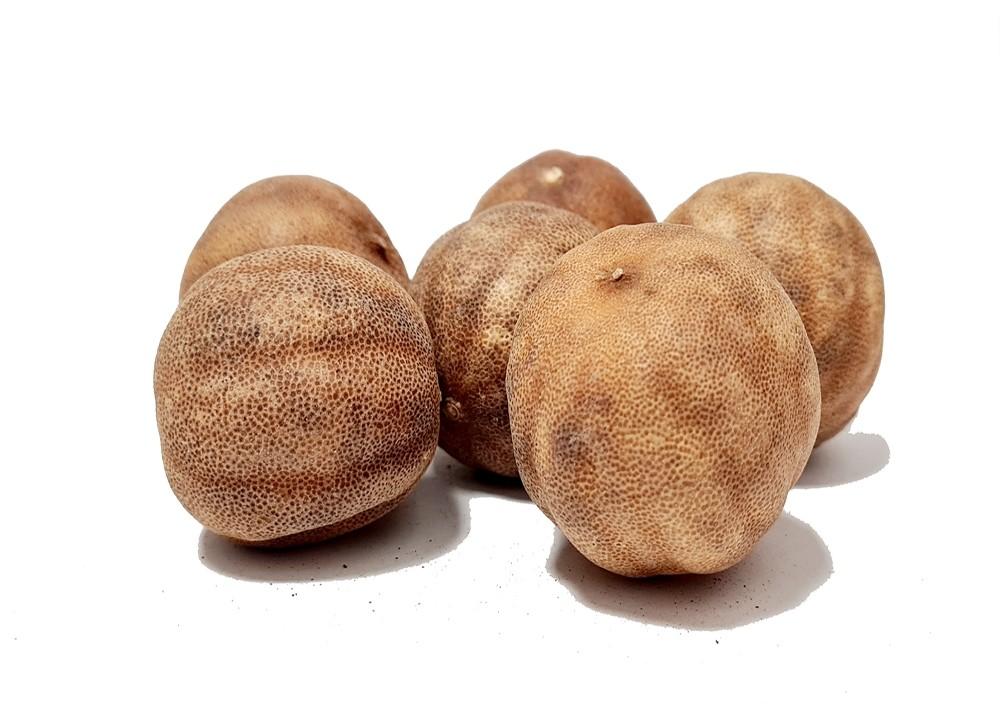 Grand dried lime brown