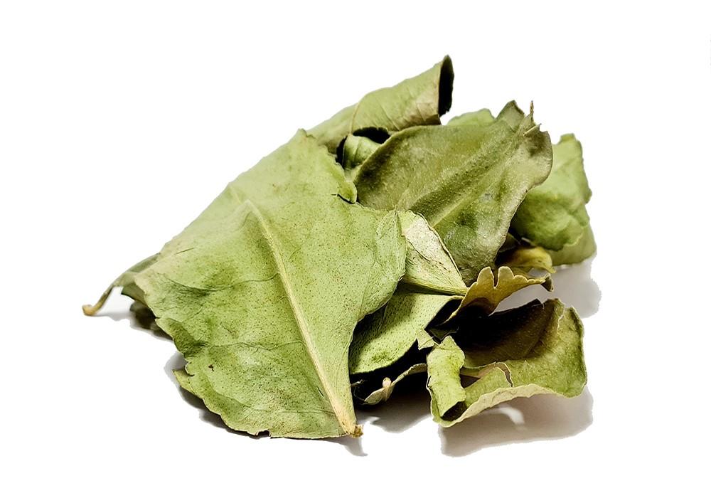Grand makrut lime - Kaffir