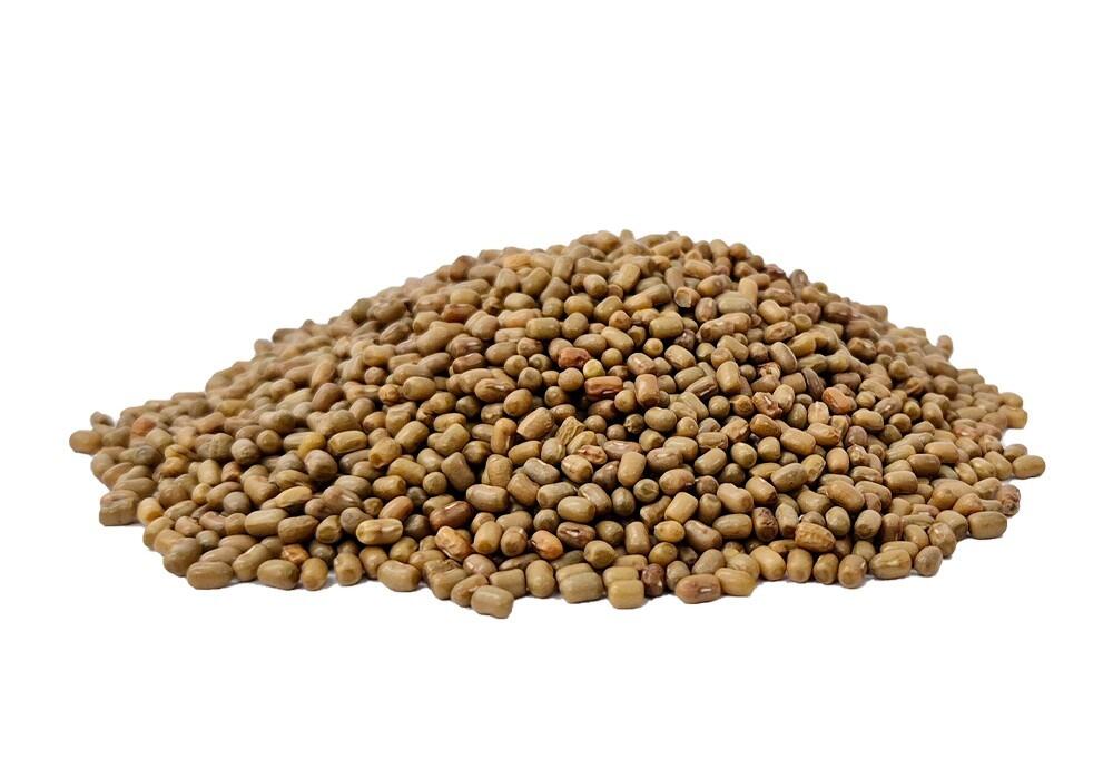 Grand moth beans