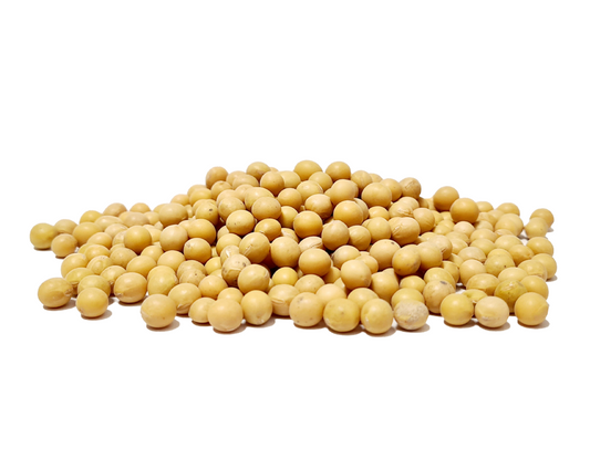 Grand organic soya beans