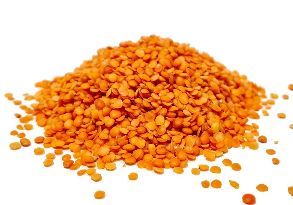 Grand red split lentils