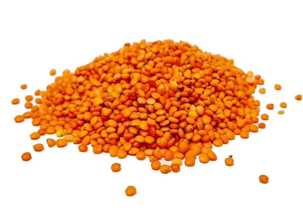 Grand red whole lentils