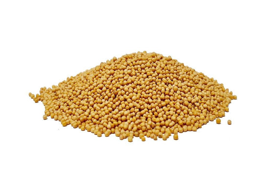 Grand yellow mustard seeds