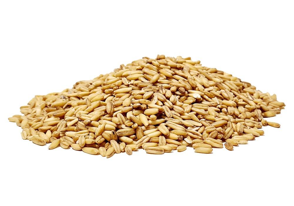 Hulme oat groats