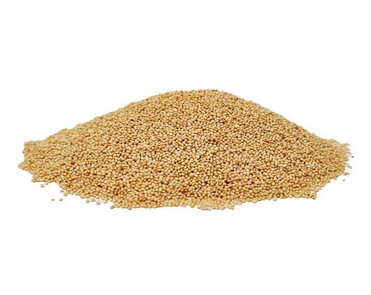 Organic Amaranth Grain