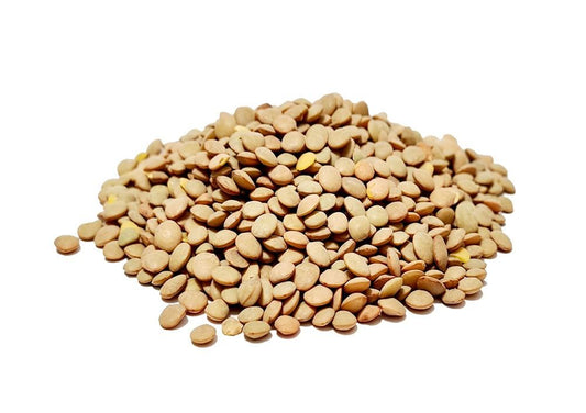Green Lentils